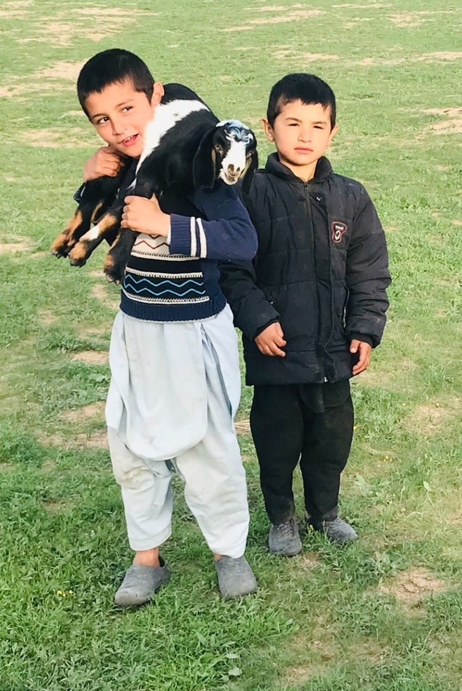 afghanistan tour operators