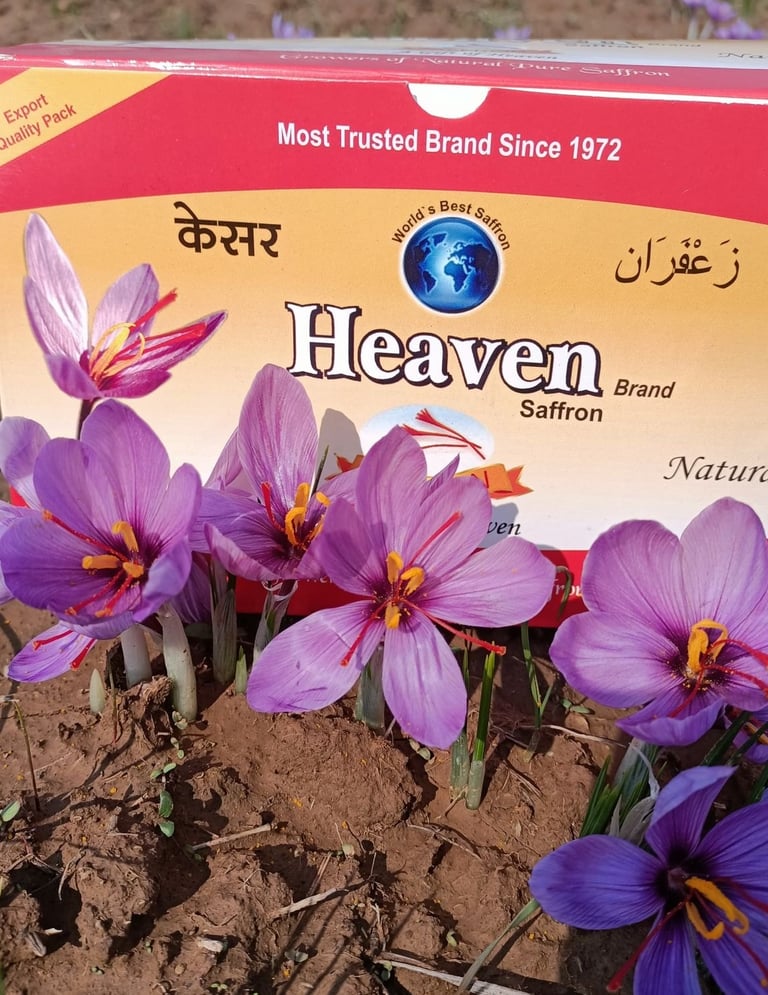 HEAVEN SAFFRON SINCE 1972