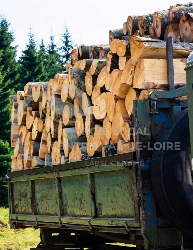 un camion avec une cargaison de billots à l'arrière