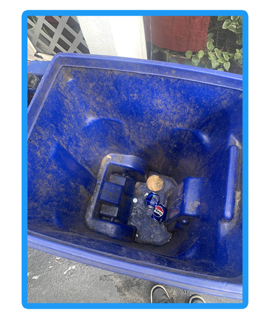Trash Can Cleaning Services