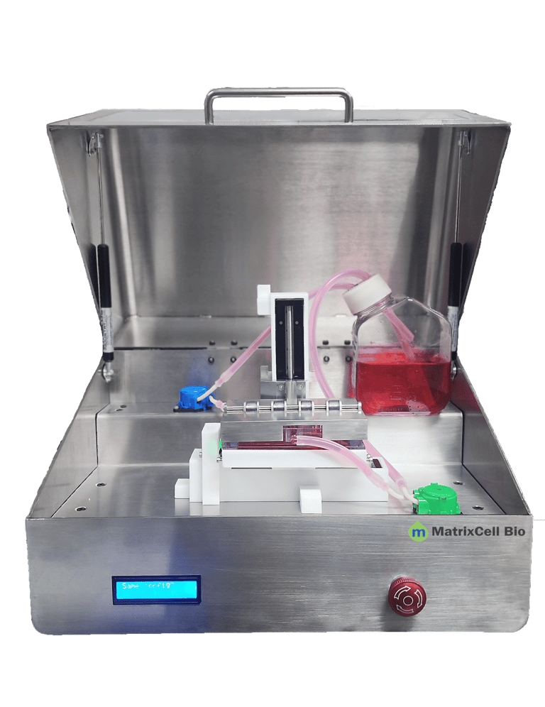 bioreactor, compression bioreactor, biomimetics