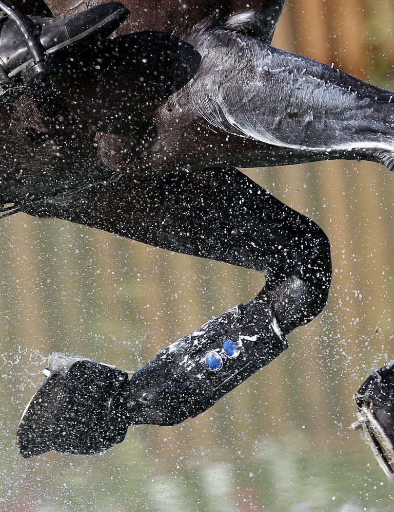 horse riding through cross-country water