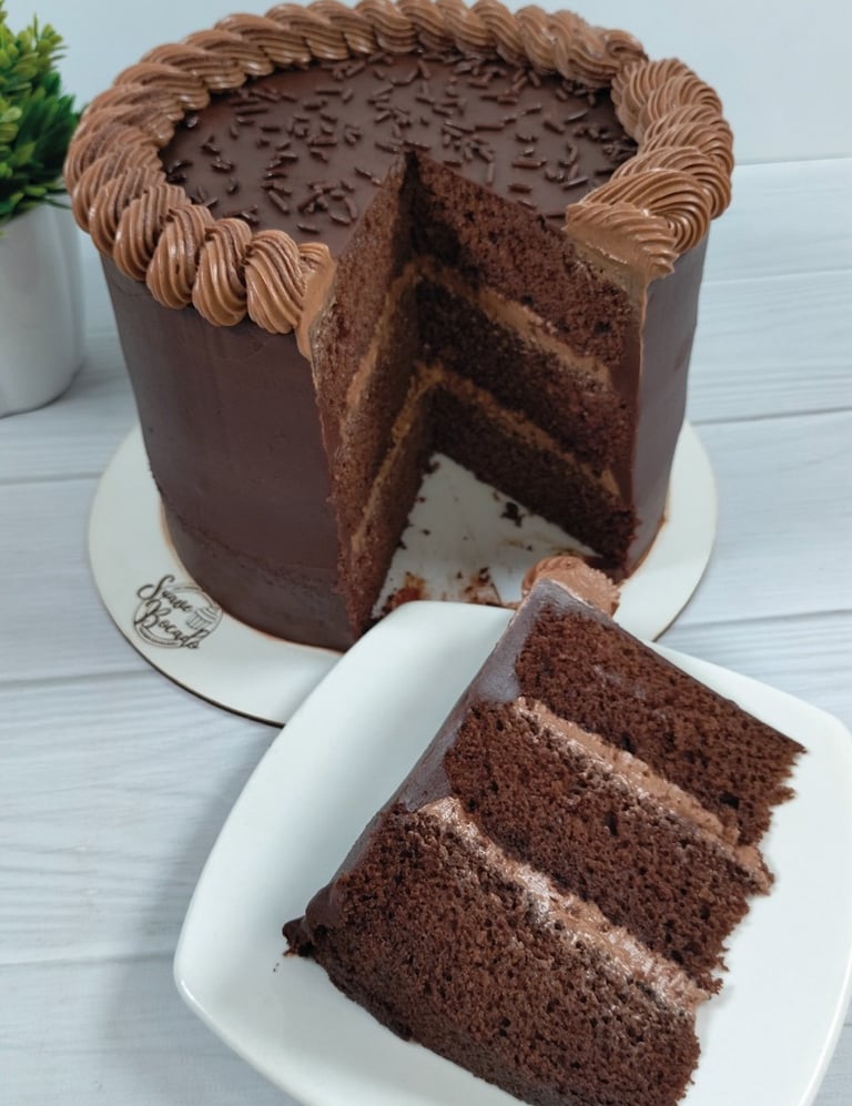 a chocolate cake with chocolate frosting and chocolate frosting