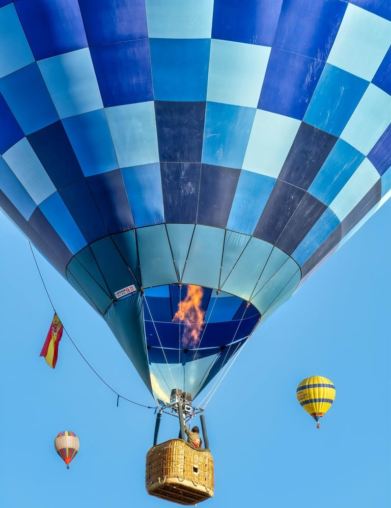 Hot air balloon in the sky