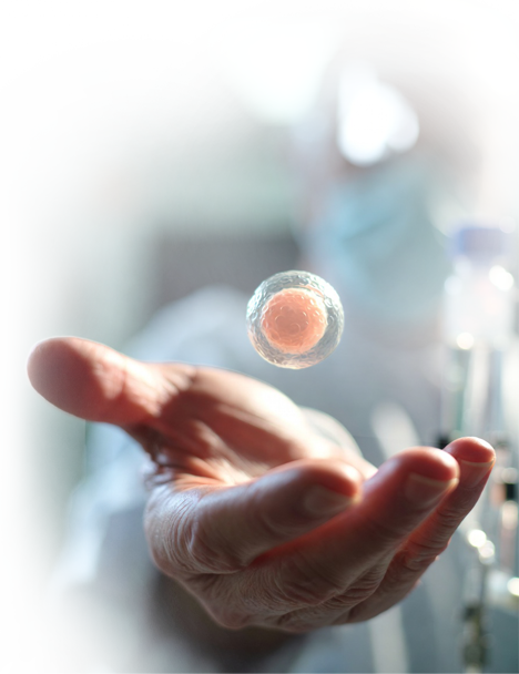 image of biologist holding up a stem cell