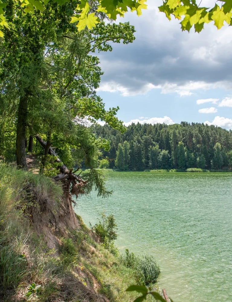 Laumėnų miškai