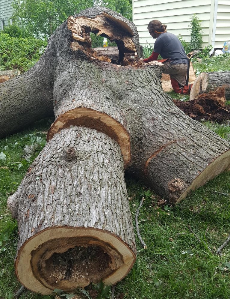 Large Maple removal in Overland Park Kansas Tree was removed because of storm damage