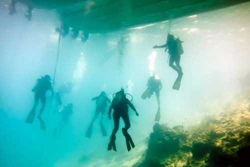 Bootstauchen Specialdive