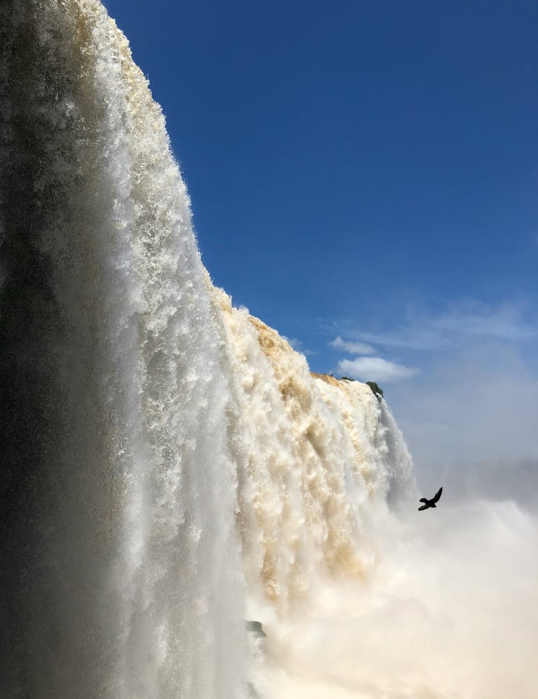 a bird flying over a waterfall