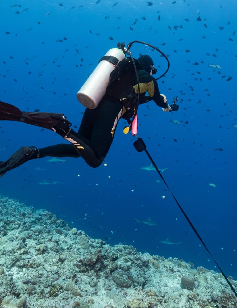 Deep Diving bei Specialdive