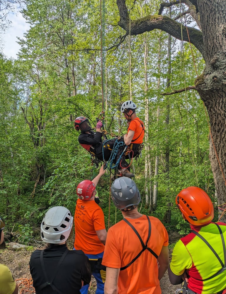 a man on a rope rope climbing in the woods