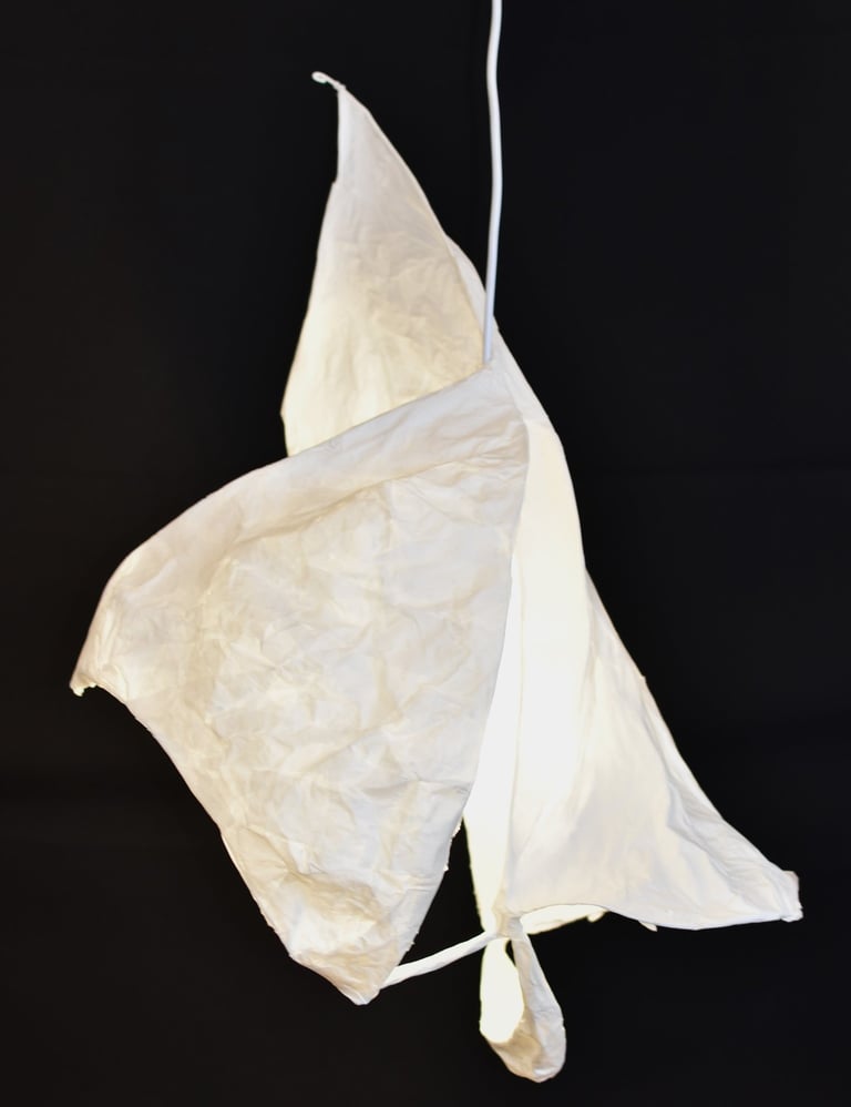 voile latine suspension lumineuse papier Sète