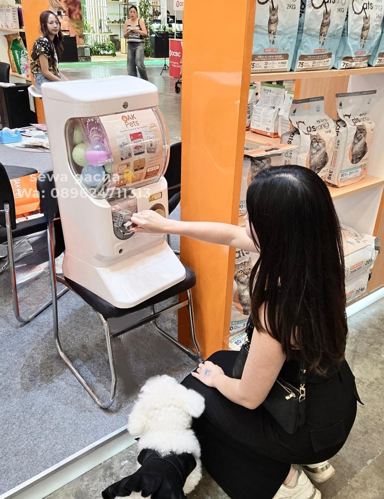 rental gacha jabodetabek