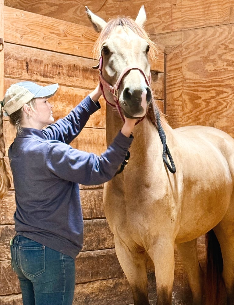 a woman is standing in a barn with a horse