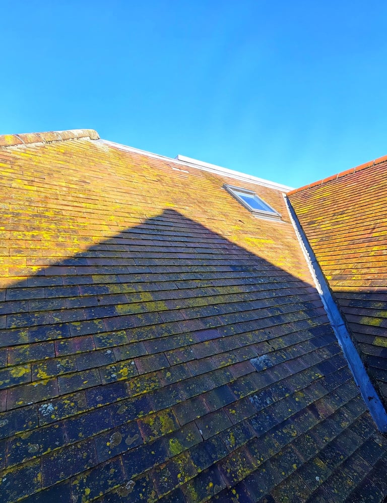 Dirty roof in Cambridge