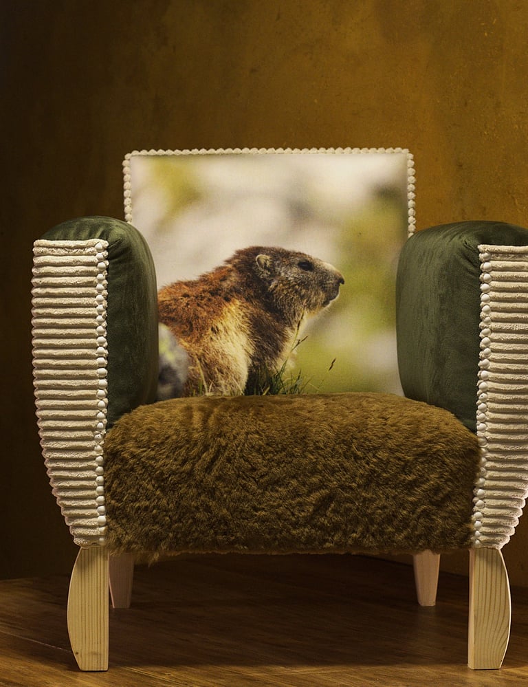 Fauteuil Marmotte Au bonheur des postérieurs
