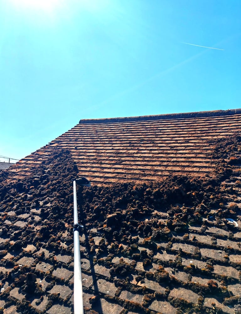 roof moss removal scraping