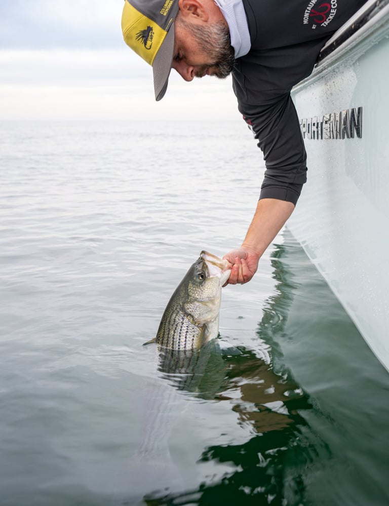 Marc Releasing a nice bass