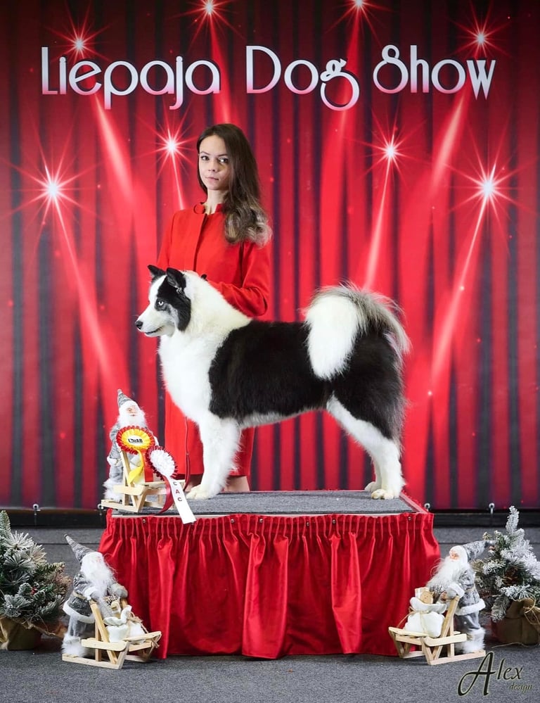 Yakutian laika kennel