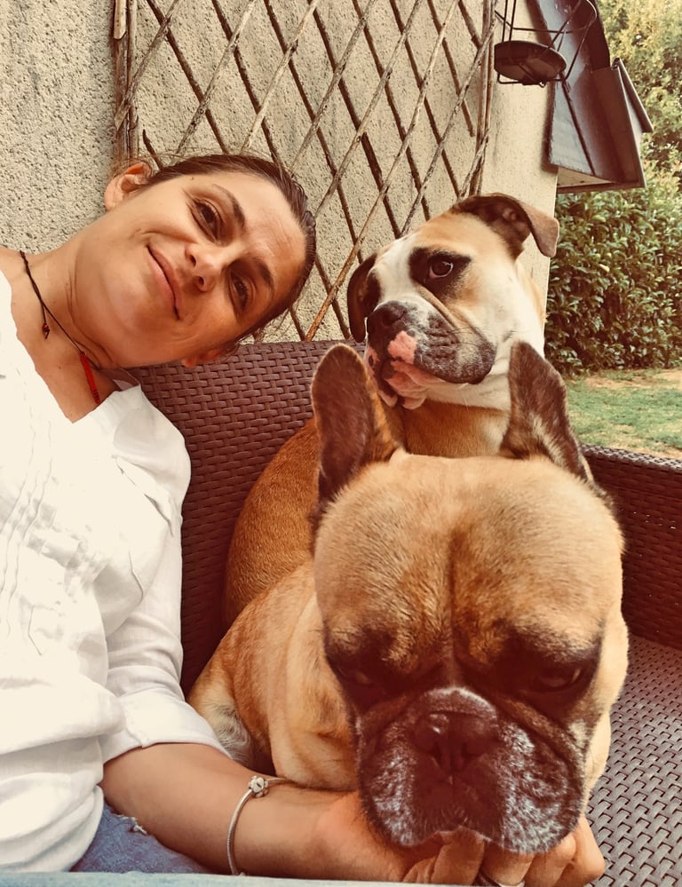 Comportementaliste canin à Albert