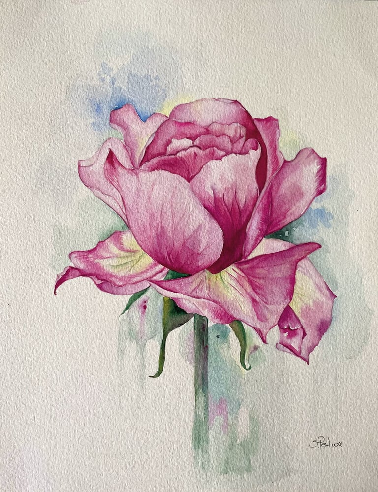 Rosa dipinta ad acquerello