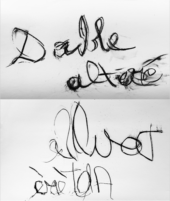 Double altéré Maxime Allain MArine Bikard Lise Terdjman fusain dessin écriture