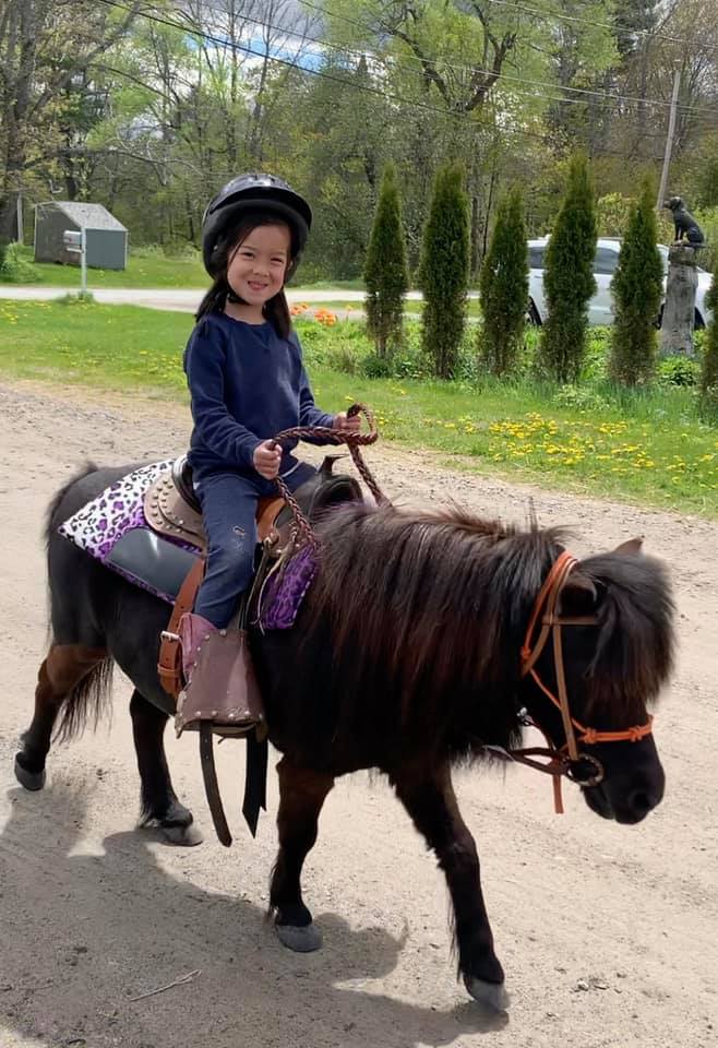 a young girl riding a pony in a field