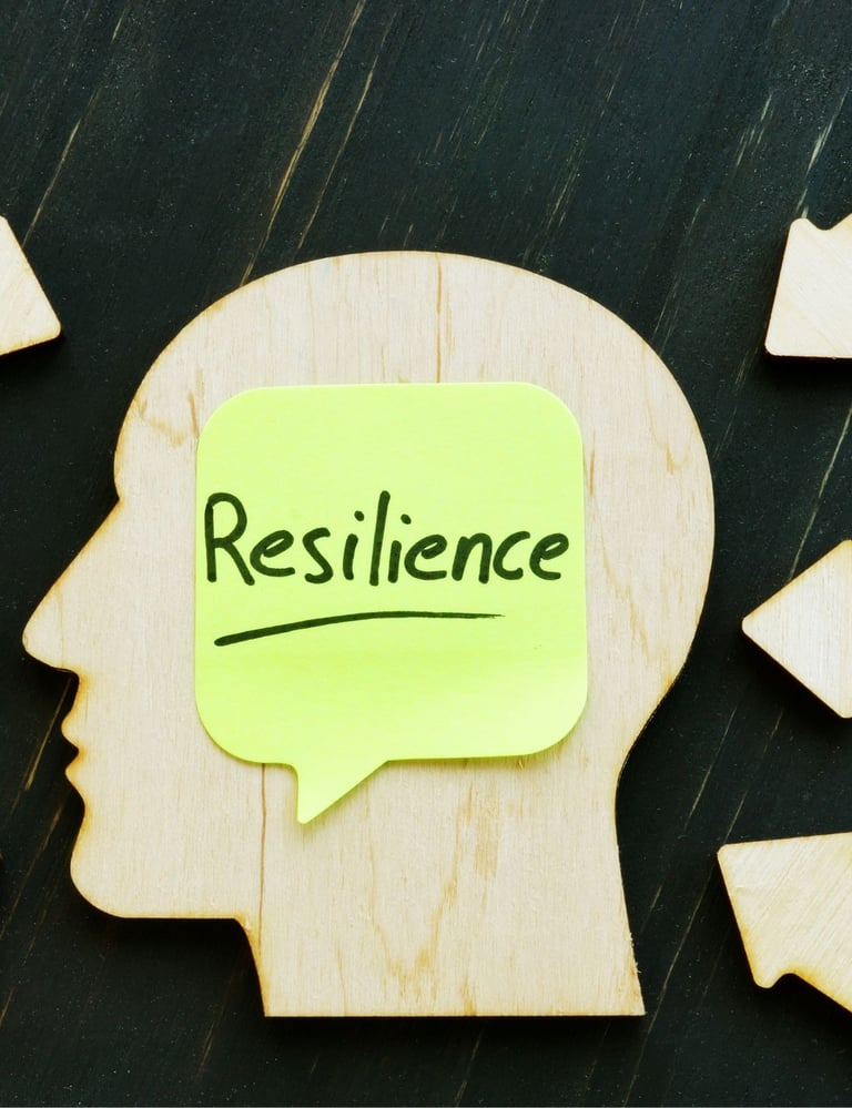 Building Resilience: Managing Stress in Professional Environments