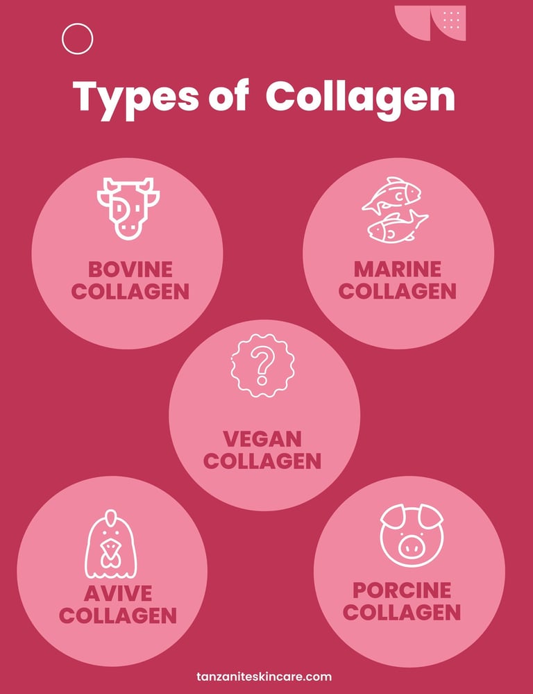 types of collagen