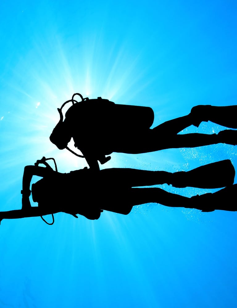 zwei Taucher die navigieren Specialdive