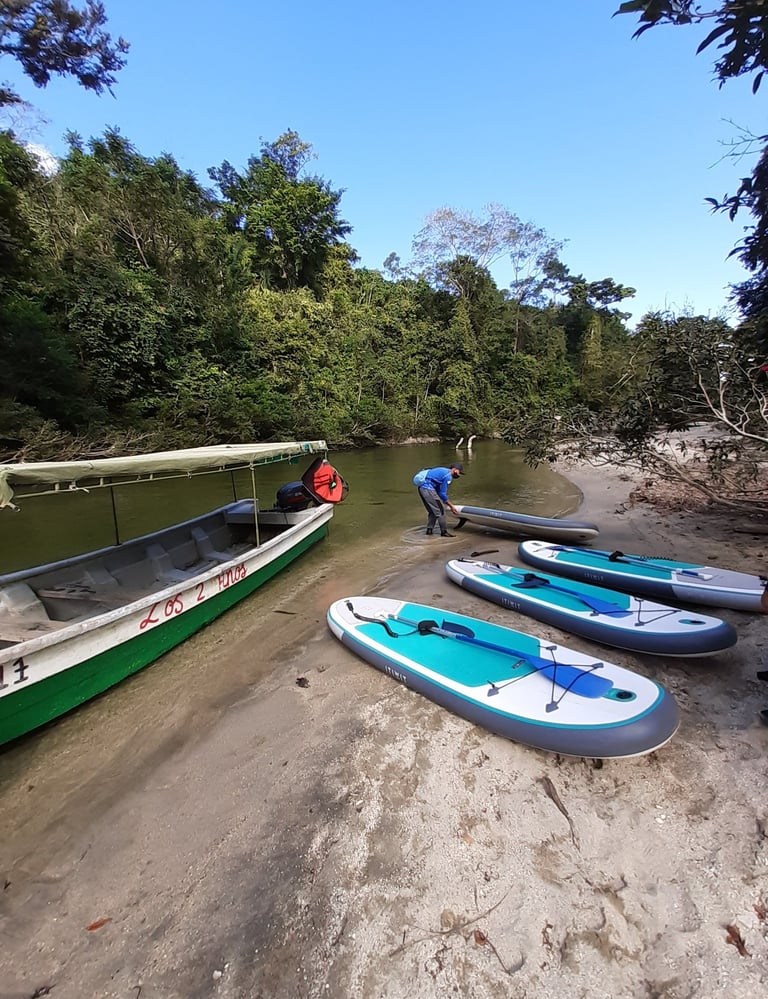 Tablas de Paddle Board en el Rio Don Diego Santa Marta Colombia