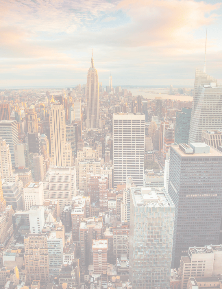 VOYAGE A NEW YORK