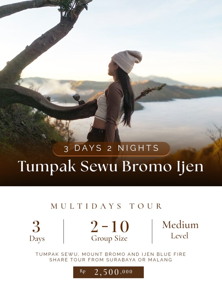 3d2n Tumpak Sewu Bromo Ijen Tour