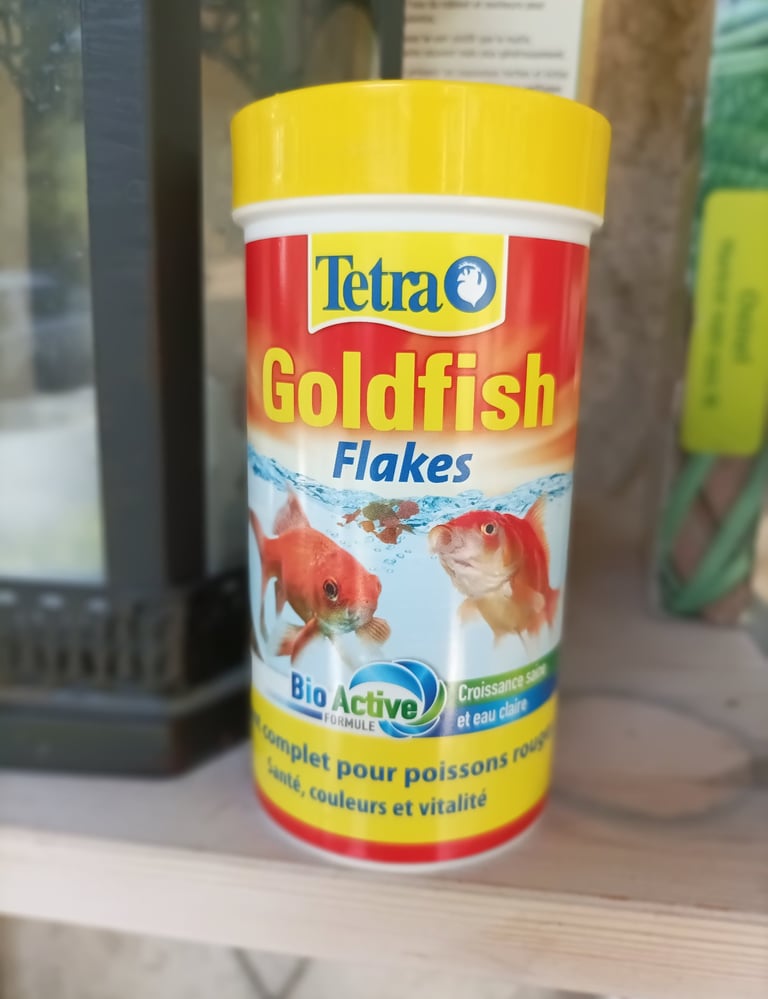 Would this tempt them?