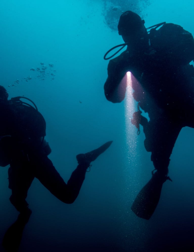 Zwei Taucher beim Nachttauchen Specialdive