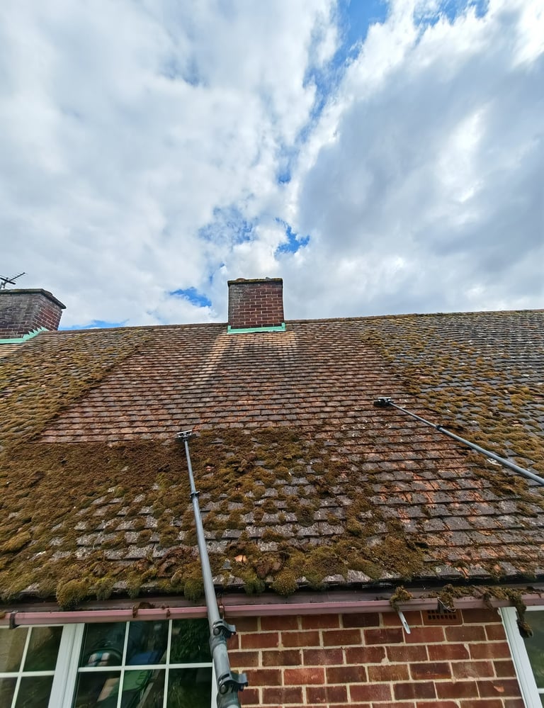 roof moss removal scraping