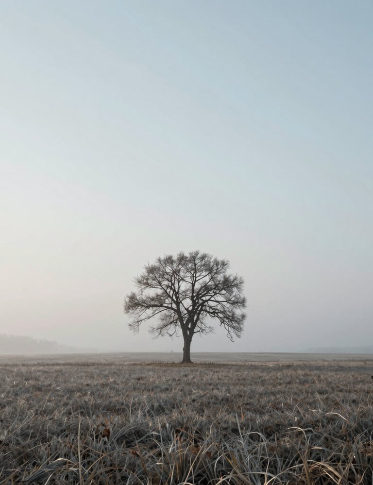 Minimalist landscape photography of a lone tree in a vast, foggy field under a soft morning light, muted silver and pale blue tones, International / Western countryside.