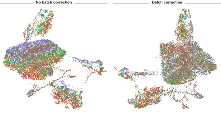 Before and After Batch correction