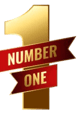 SEO Services in Mangalore