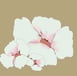 floral illustration for pattern print