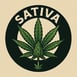 Sativa