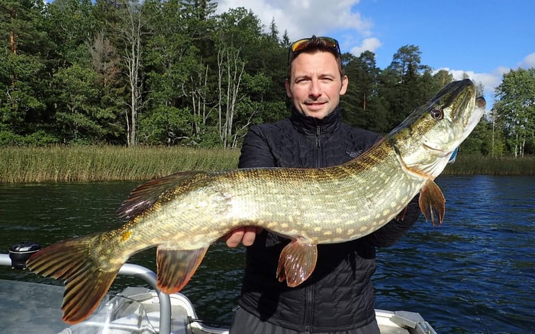 fishing escape sweden Hechtangeln in Schweden. wie dieser Fischer der in Schweden auf Hechtfang geht