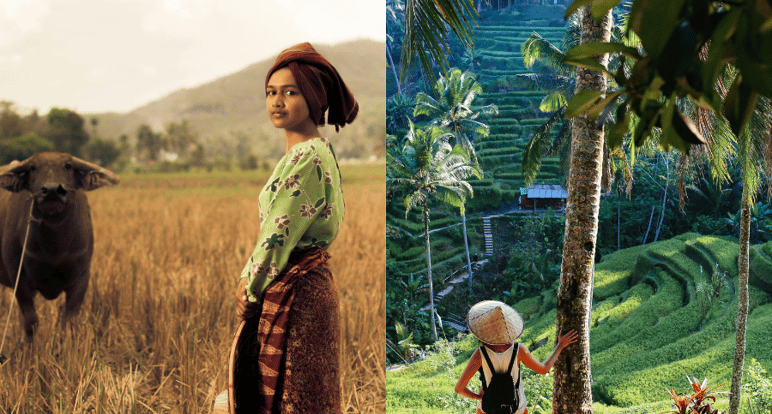 Beautiful Countryside in Indonesia which is similar to Sri Lanka