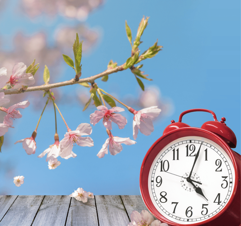 Foto-con-fiori-di-pesco-e-sveglia-ora-legale-jpg