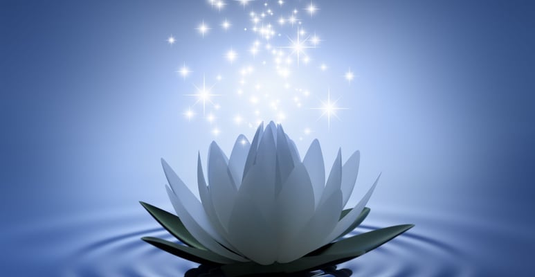 a white lotus flower with stars above water