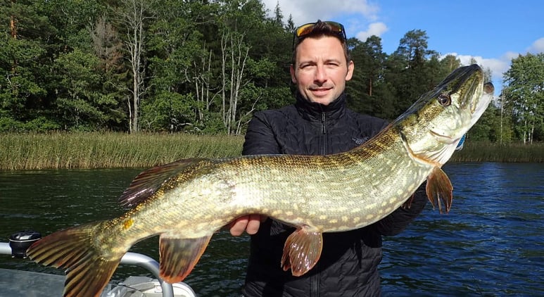 fishing escape sweden gäddfiske i sverige. som den här fiskaren som fiskar gädda i Sverige.