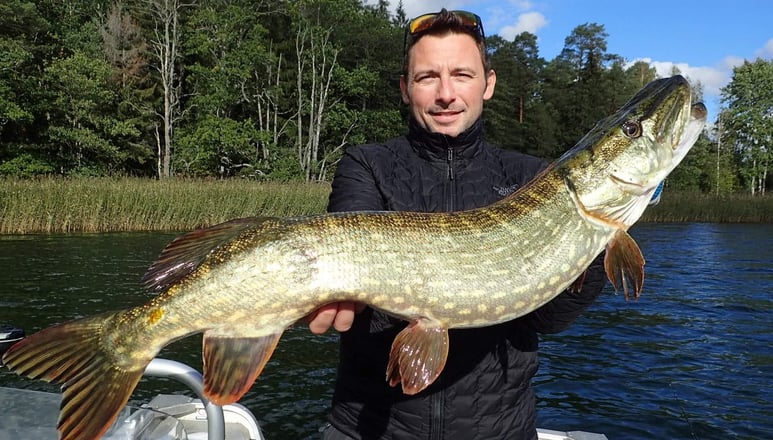 séjour de pêche au brochet en suède avec fishing escape sweden.