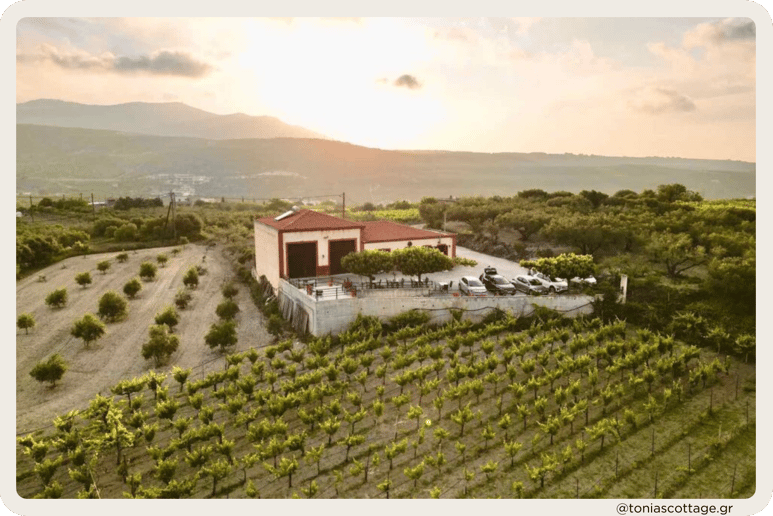 "Stilianou Winery view from above, overlooking vineyards at sunset.