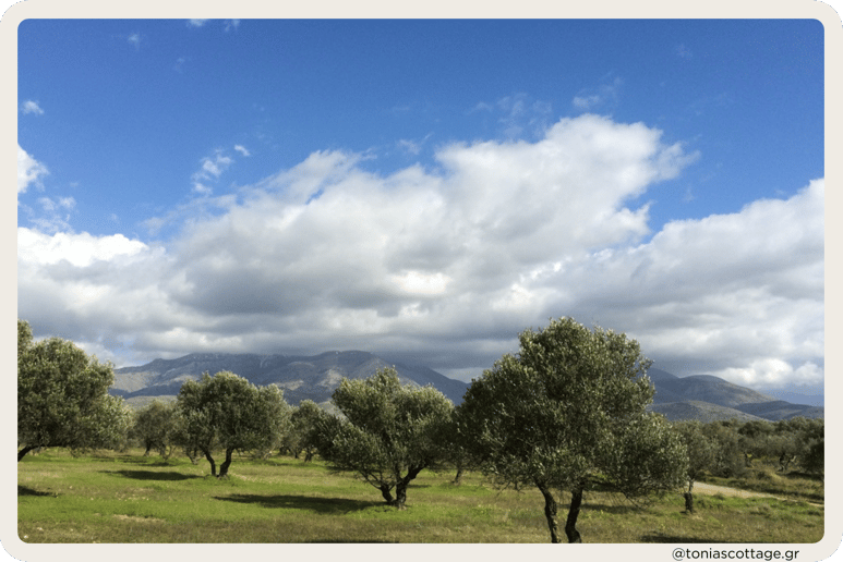Crete Half Marathon route winding through scenic mountains, offering breathtaking natural views