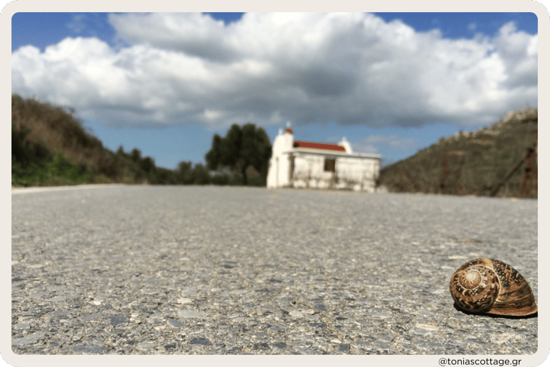 Crete Half Marathon route winding through scenic mountains, offering breathtaking natural views